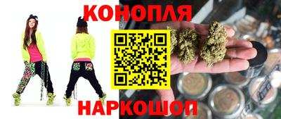 СК Новозыбков